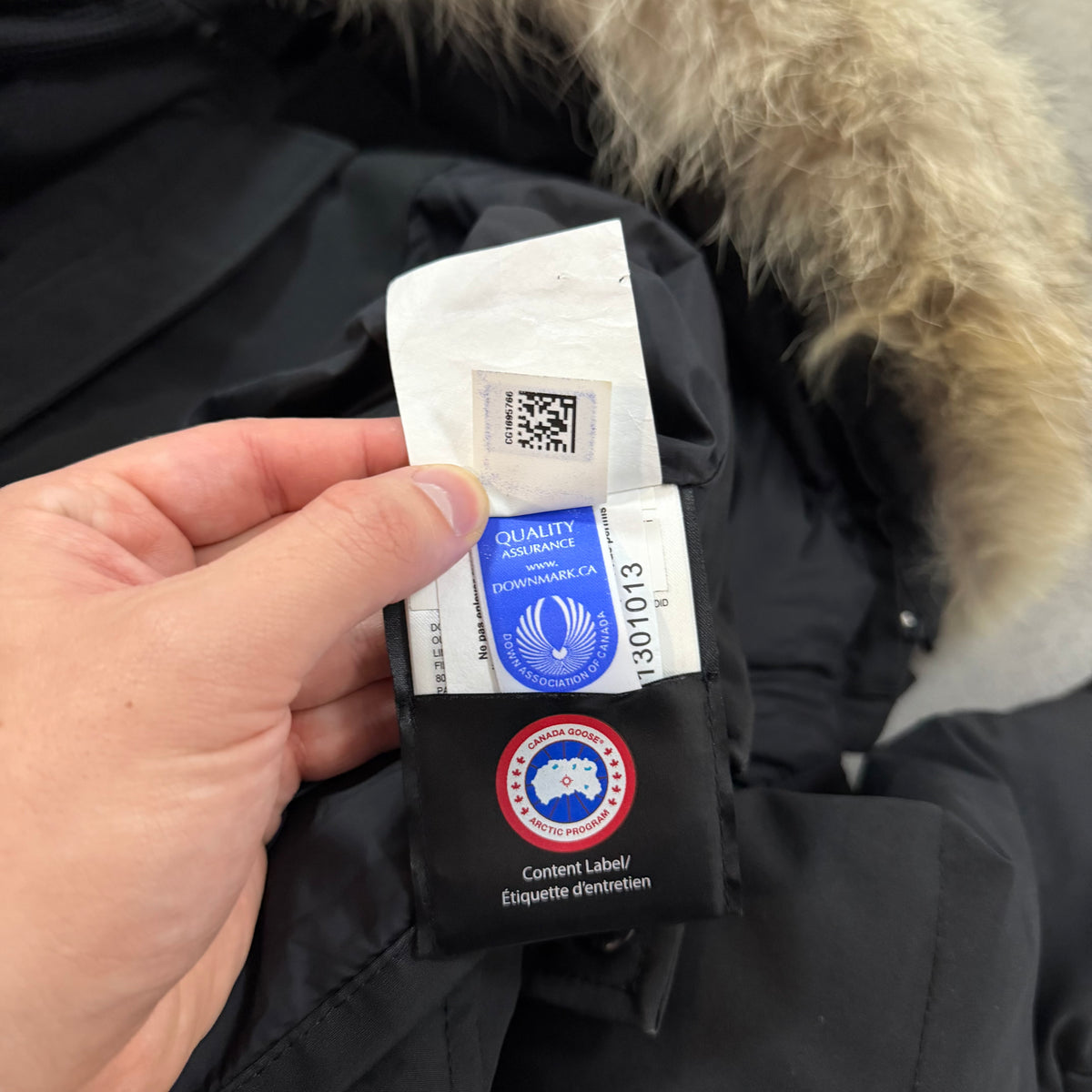 WYNDHAM PARKA - SIZE FUSION S (Fits XS/S)